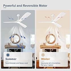BvenuBigLite White Ceiling Fan with Light: 3 Blades