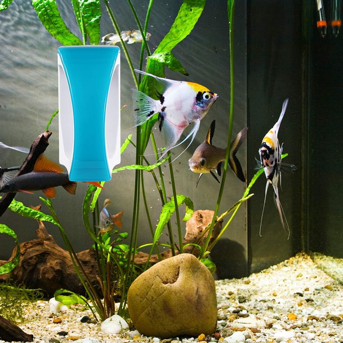 fish tank bundle
