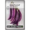 Sow Right Seeds - Long Purple Eggplant Seeds for Planting - Non-GMO Heirloom Packet with Instructions to Plant an Outdoor Home Vegetable Garden - Grow This Chinese Variety Indoors or Outdoors (1)