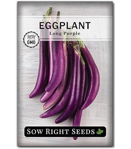 eggplantページ SHOP CHINESE EGGPLANT (SAMPLE) | Purvey'd