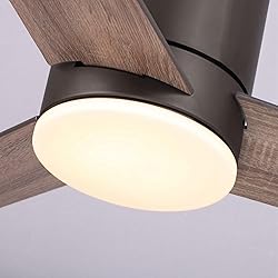 Vaczon 48 Inch Black Low Profile Ceiling Fan with