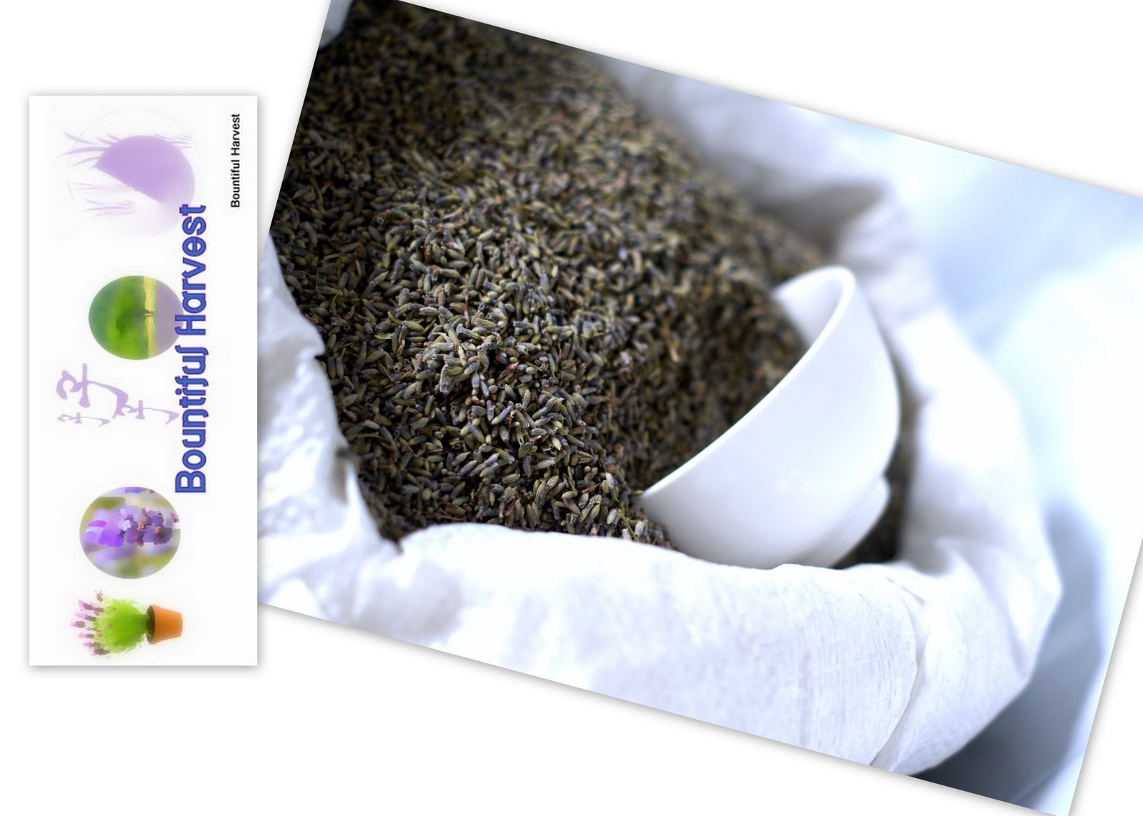 Bountiful Harvest Lavender Pot Pourri (1kg, Pale Blue Lavender)