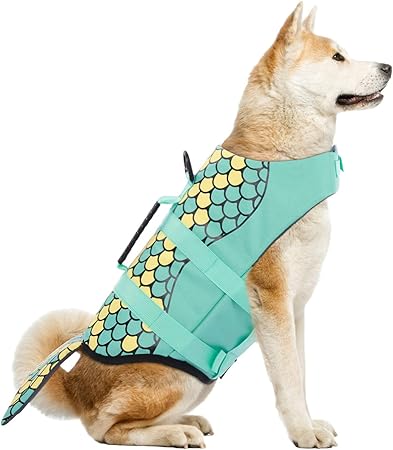 swimsuit for small dogs