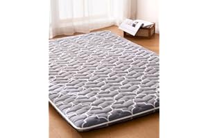 FEISAIBAOLY 6th Generation Japanese Floor Futon Mattress - Extra-Thick 9-Layer Modern Futon with 100% High-Density Foam, Portable Floor Mattress Sleeping Pad for Adults, Guest Room, Dormitory, Twin Size (39"X80")