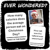 Shot in the Dark Christmas Quiz Edition – 2+ Players | Family Party Game view 7
