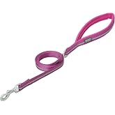 Terrain D.O.G. Reflective Neoprene Lined Dog Leash, Purple, 6-feet L x 3/4-inch W