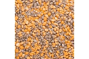 Bakebright Cinnamon Roll Crunch Crumbles Topping | 4oz Tasty Ice Cream Dessert Topping Crunch Coat Toppings for Ice Cream Bar Topper