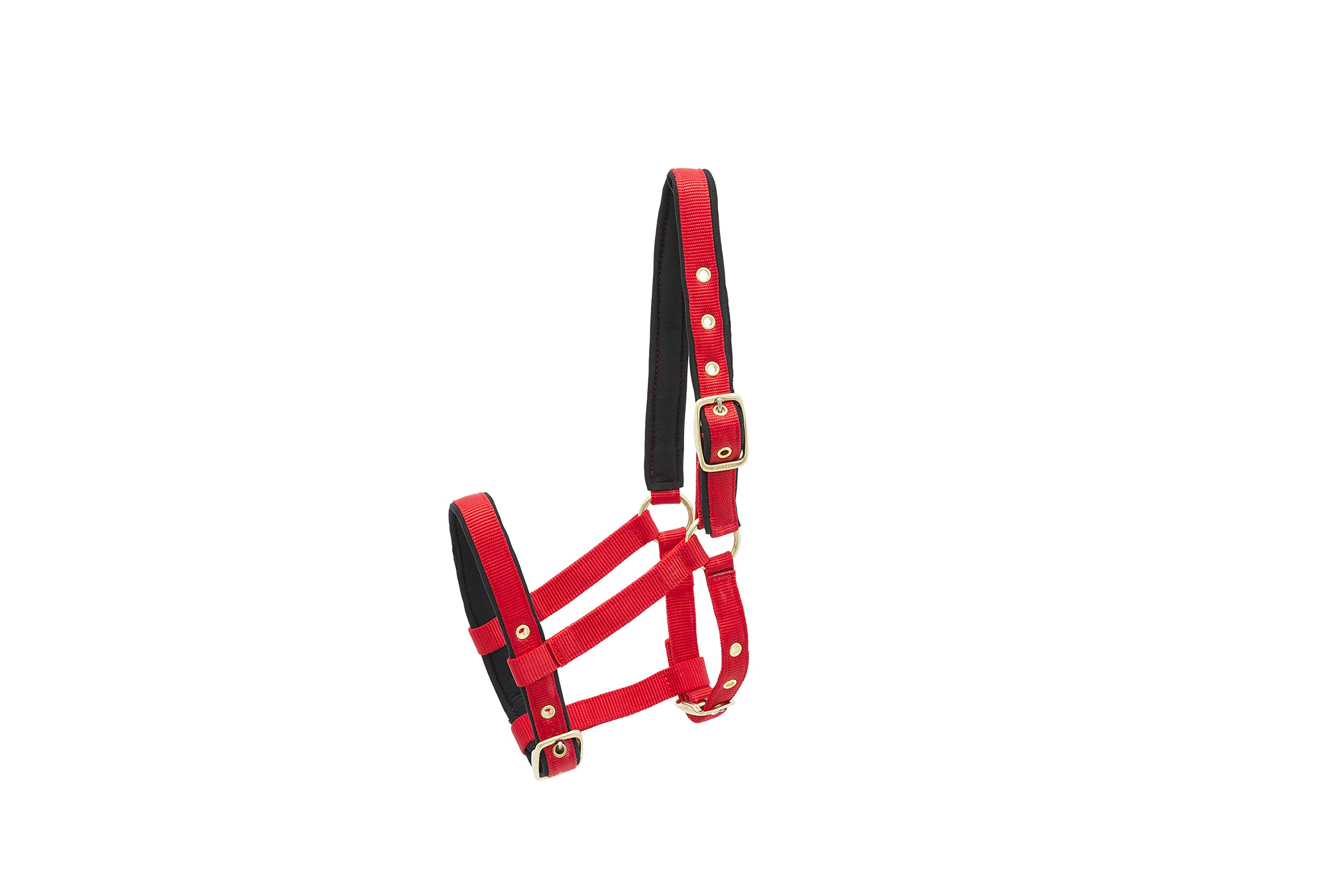 KIEFFER Nylon Headcollar FOAL
