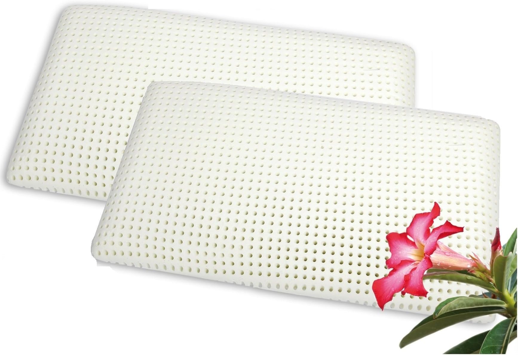 venixsoft PREMIUM DEAL Pair of latex foam pillows with more drilling for more transpiration, with pure cotton pillowcase, made in Italy