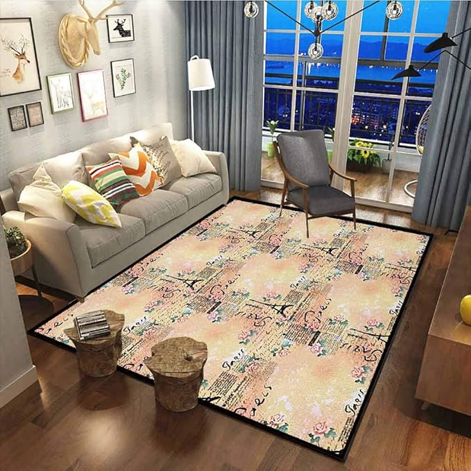 Modern Cozy Rug Contemporary Soft Area Rug French Paris