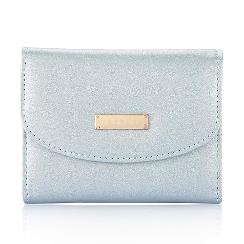 Caprese Augustina Womens Wallet (Blue)