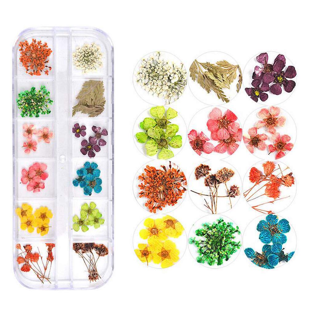KINGMAS 12 Colors Dried Flowers for Nail Art, 1 Box Dry Flowers Mini Real Natural Flowers Nail Art Supplies 3D Applique Nail Decoration Sticker Decor (C)