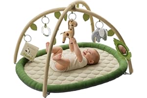 Baby Play Gym & Activity Mat, Baby Play Mat with 5 Detachable Toys, Promotes Motor Skills & Sensory Development, Tummy Time M