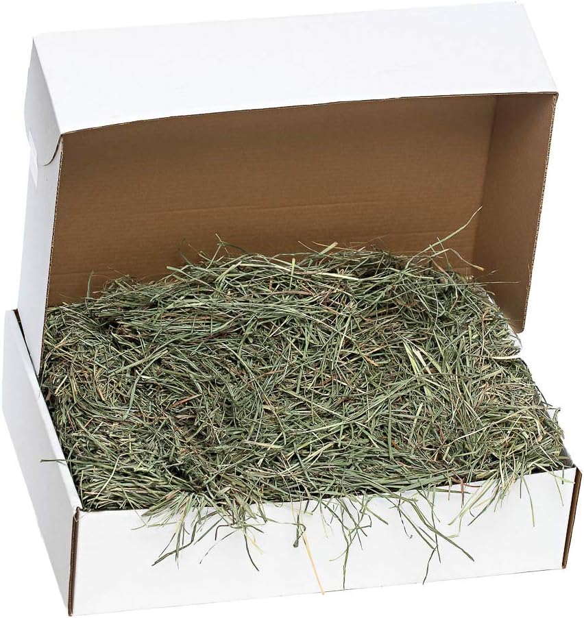 Small Pet Select Orchard Grass Hay Pet Food eBay