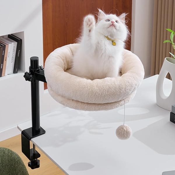 BYBYME CAT DESK BED FOR INDOOR CATS, KITTY...