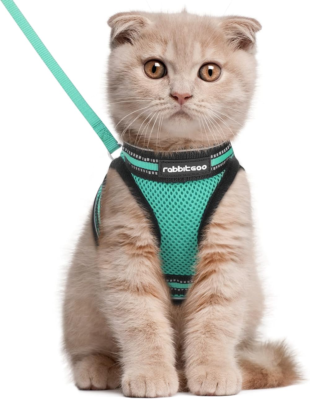 rabbitgoo Cat Harness and Leash Set Escape Proof Adjustable Vest Green Large