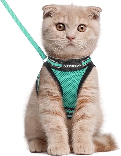 rabbitgoo Cat Harness and Leash Set Escape Proof Adjustable Vest Green Large