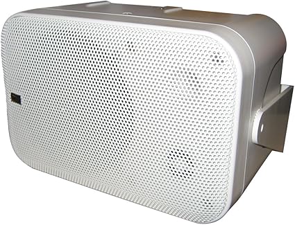 200 watt speaker box