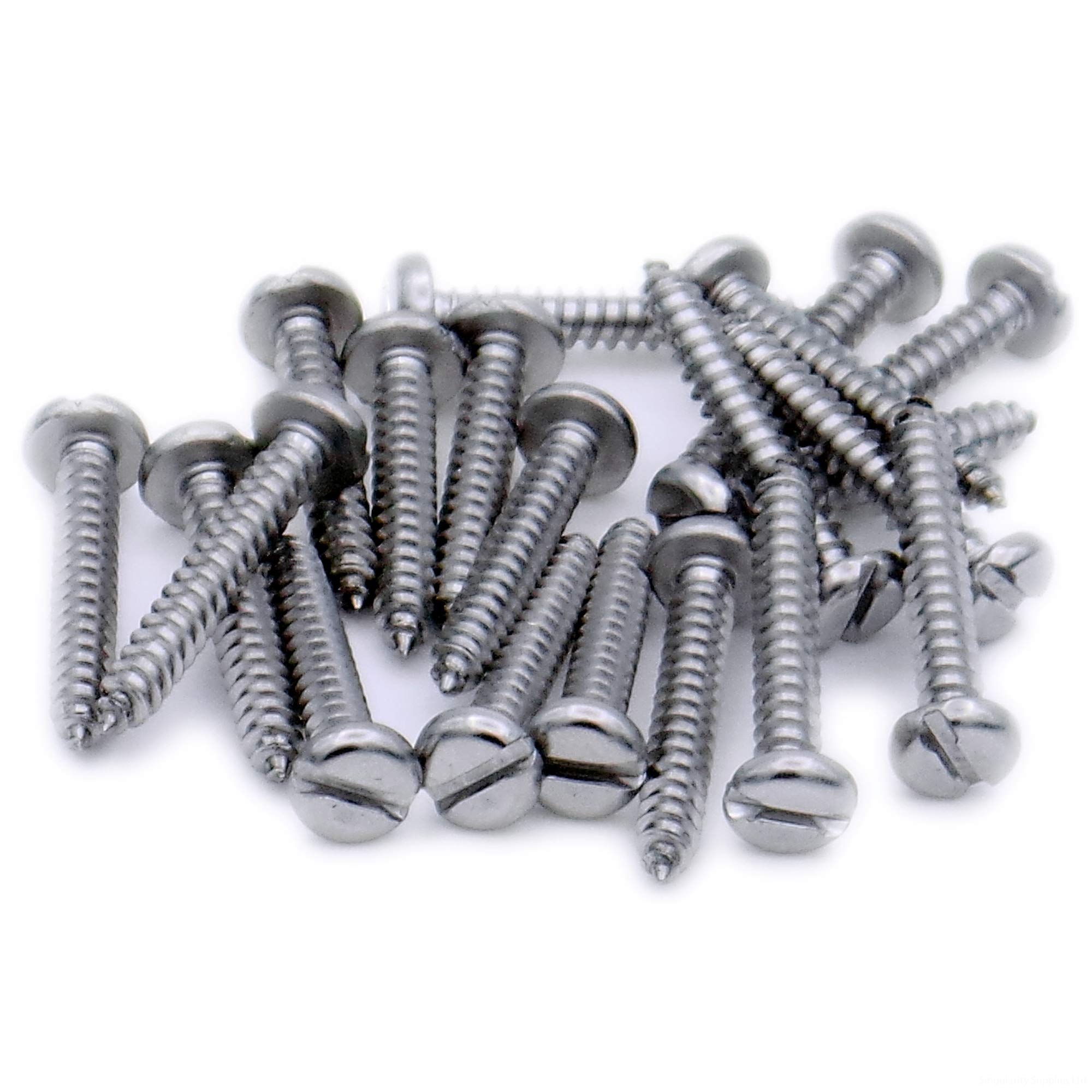 No.4 x 0.25 (2.9mm x 6.5mm) Slot Pan Self-Tapping Screw - Stainless Steel (A2) (Pack of 20)