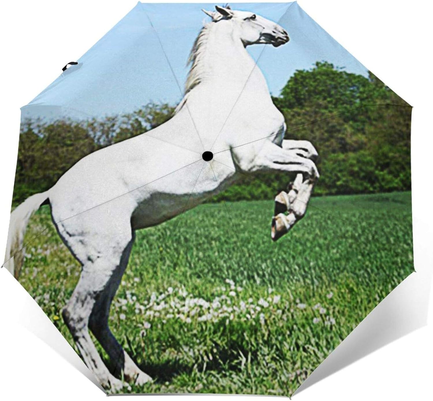 Windproof Travel Folding Umbrella Automatic Horse Amazing, Large Rain Folding Compact Umbrella