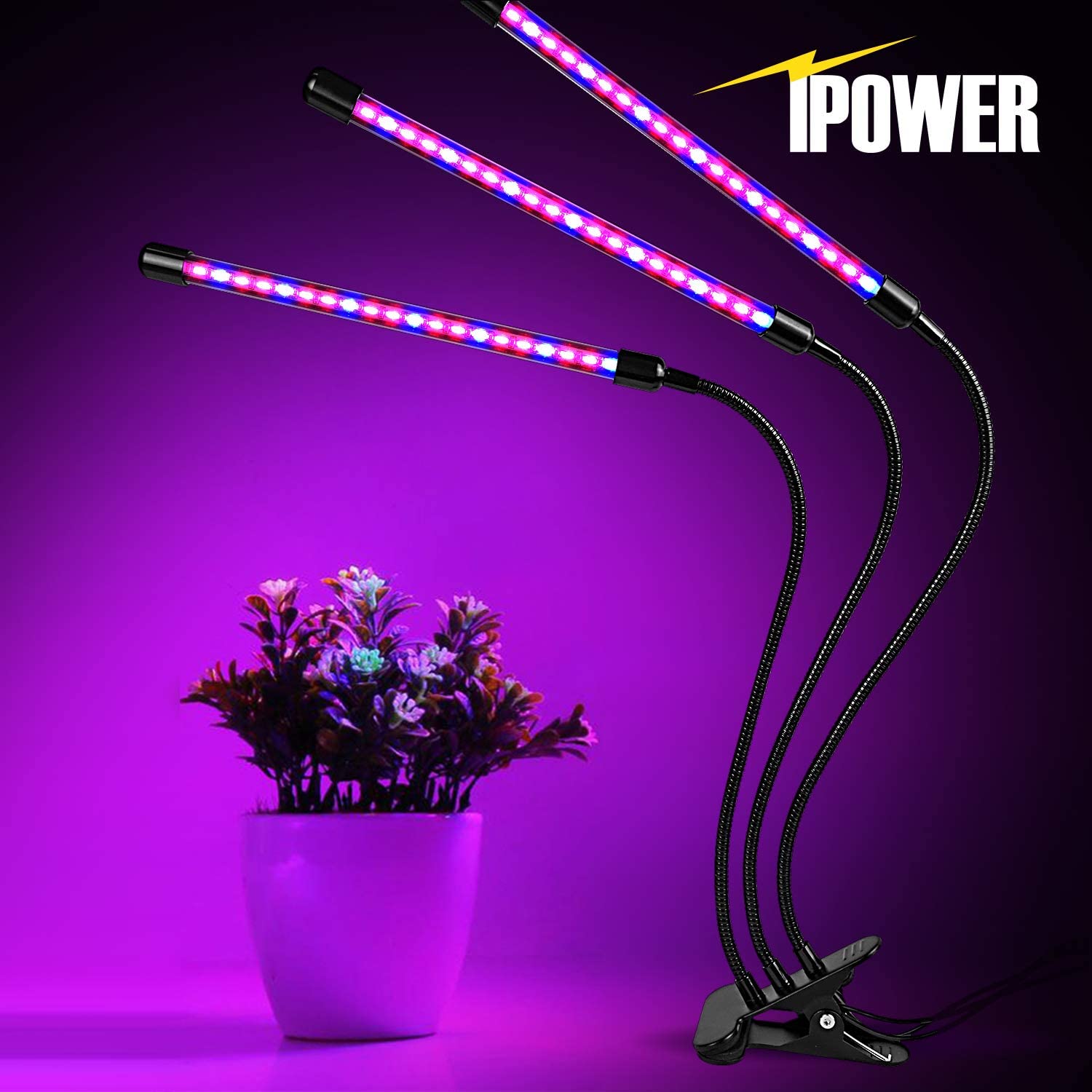 Mua iPower 60 LED Grow Light with Full Spectrum for Indoor Plants ...