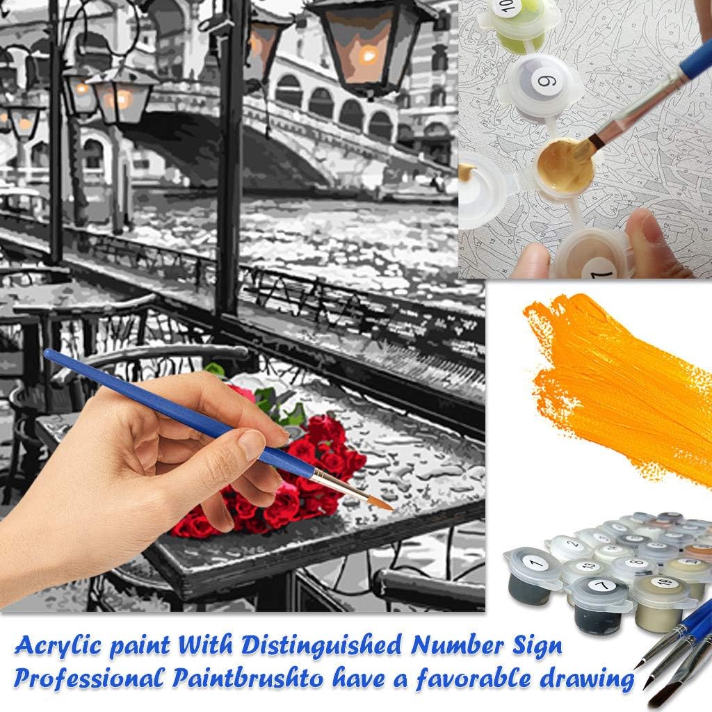 Aliaicat DIY Paint by Numbers, Canvas Oil Painting Kit for Kids & Adults, 16" W x 20" L Drawing Paintwork with Paintbrushes, Acrylic Pigment(Without Frame) (H, 40×50cm)