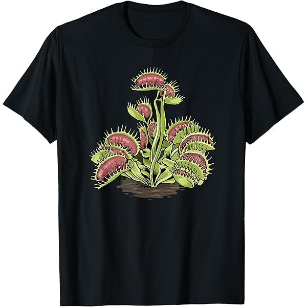 ★SCULPTOR★ Star Band Tee Charcoal SC24A232CH Amazon.com: Art shirts & accessories. Arts & Crafts Hobby T