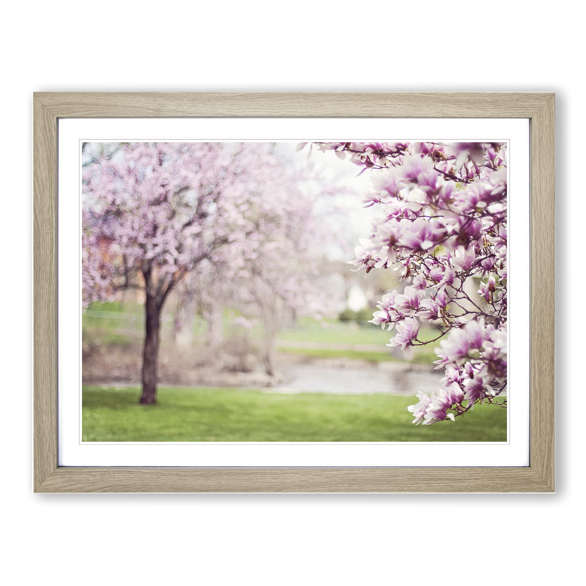Landscape Magnolia Blossom Tree Modern Framed Print | A4 Oak Framed Wall Art | Ready to Hang | Modern Floral Picture | Living Room Bedroom Lounge Office