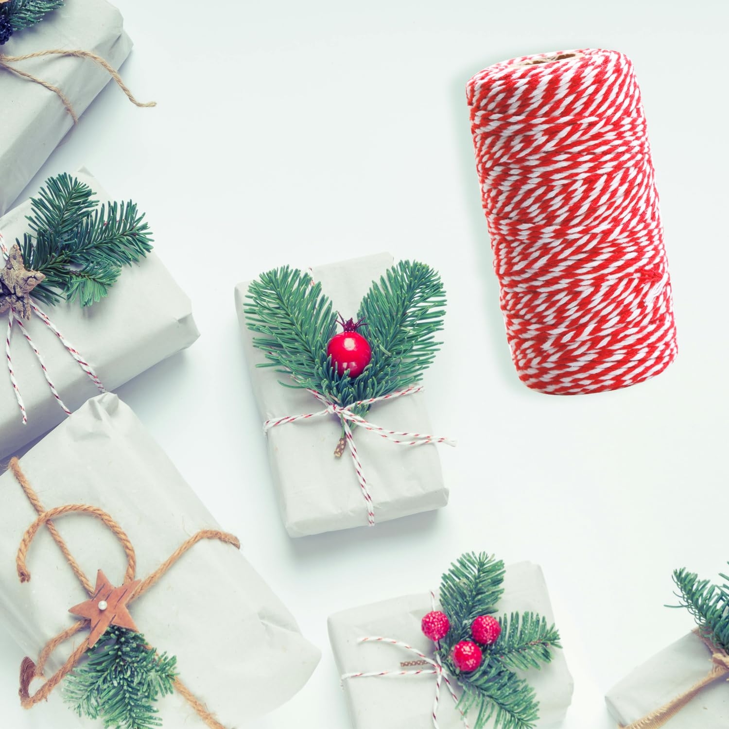 View 3