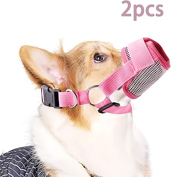 chihuahua muzzle amazon
