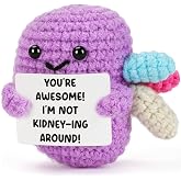 Weming Nurse Gifts for Women, Handmade Crochet Kidney Plush with Funny &ldquo;You&rsquo;re Awesome&rdquo; Sign, Birthday Appreciation Gift for Friend Bestie Coworker, Mother Gifts for Nurse Mom