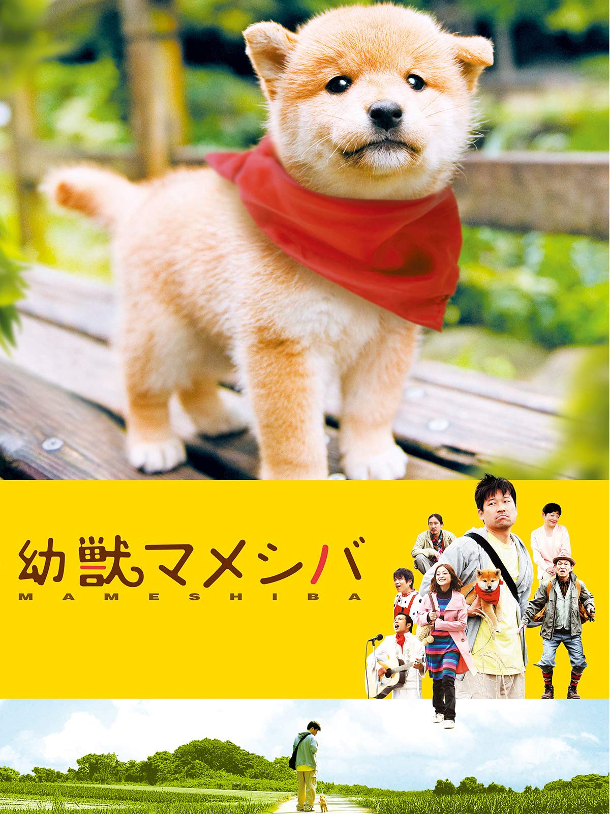 Amazon Co Jp 映画版幼獣マメシバを観る Prime Video