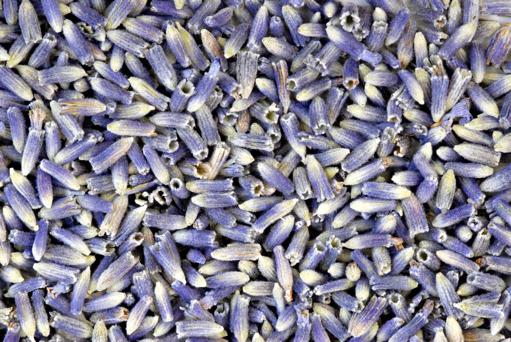 French Lavender Dried Lavender Buds 1 Pound Dry Flowers Free