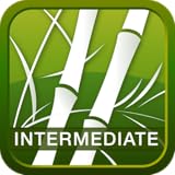 Human Japanese Intermediate
