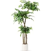 Artificial Ficus Tree with White Planter, Moss and Pebbles, 5FT | Faux Silk Tree with Lifelike Leaves and Realistic Trunks, Tall Fake Potted Plant, Home and Office D&eacute;cor, Indoor and Outdoor