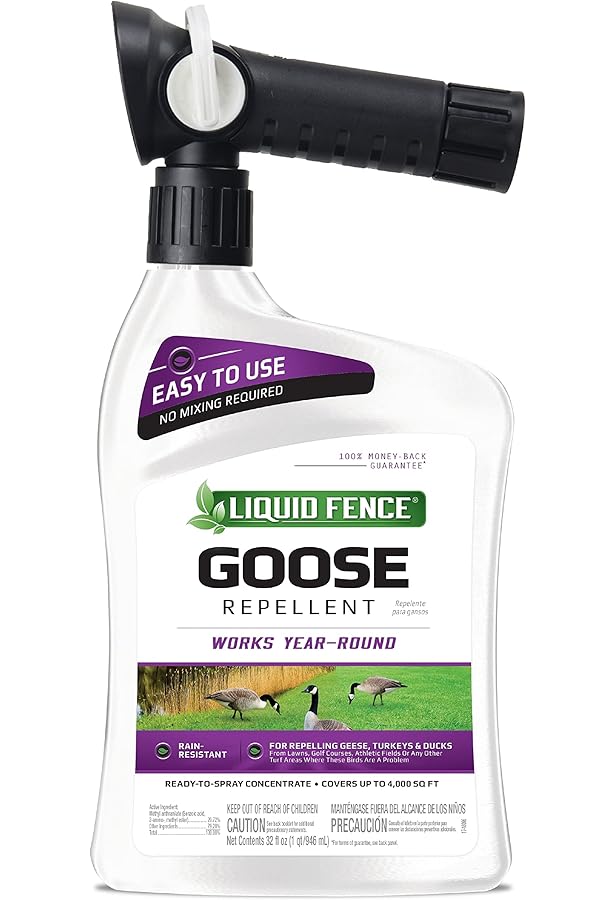 【ースダウン】 【COOR】NEWWater Repallent GooseDonw JP_GRAY関税込 (COOR/アウターその他