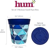 Hum Flowerpots 22cm Set of 3 Blue Geometric Indoor Outdoor Plastic Pots view 2