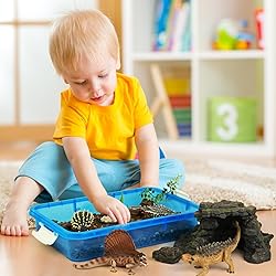 15 Inch Portable Sensory Bin Play Tray with