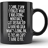 Funny Mug Senior Citizens I Came I Saw I Forgot What I Was Doing - Funny, Sarcasm, Sarcastic gifts for Elderly Grandma Grandpa Mom Dad Birthday Gift Retirement Gift Black 11oz Ceramic Coffee Mug 11oz