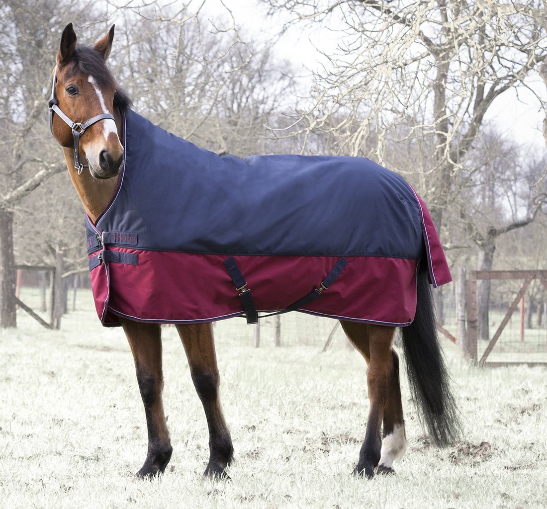 Reitsport Amesbichler Horse Rug Outdoor High Neck Equitheme TYREX 1200 Denier Nylon Lining Waterproof Breathable Cross Straps etc 125 cm