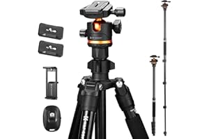 K&F CONCEPT 76" Camera Tripod, Travel Tripod for Camera with 360° Ball Head & Phone Holder, Max Load 17.6lbs, Detachable Monopod, Compact Tripod for DSLR/Smartphone Photography