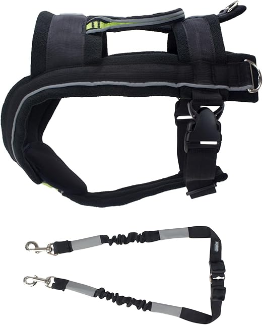 dog pulling harness amazon