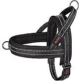 Didog No Pull Dog Harness with Soft Mesh Padded,Reflective & Quick Fit Light Weight Dog Strap Vest Harness,Easy for Walking Training (L:Chest 26-32", Mesh-Black)
