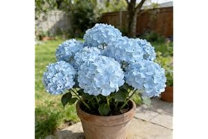 7 Bunchs Spring Porch Refresh Hydrangea, Realistic UV Resistant, Artificial Outdoor Hydrangea for Kitchen Table, Courtyards P