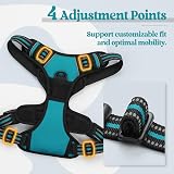 rabbitgoo Large Dog Harness No Pull Reflective Teal XL with Front Back Clips view 5