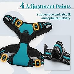 rabbitgoo Dog Harness No Pull with 2 Leash