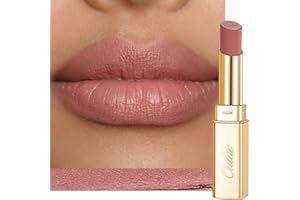 Oulac Pink Nude Matte Lipsticks for Women, Silky Velvet Matte Lipstick, Soft Smooth Texture, High Impact Lip Color, Weightles