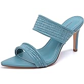 vivianly Clear Pointed Toe Heels Sandals Transparent Strap Stiletto High Heels Slip on Mules for Women