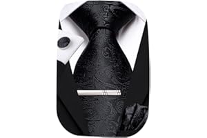 Hi-Tie Mens Tie Set with Pocket Square Cufflinks Silk Ties for Men Silver Tie Clip Set Necktie Prom Wedding Formal