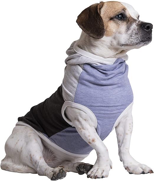 color block dog hoodie